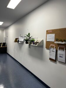 IMG_1617